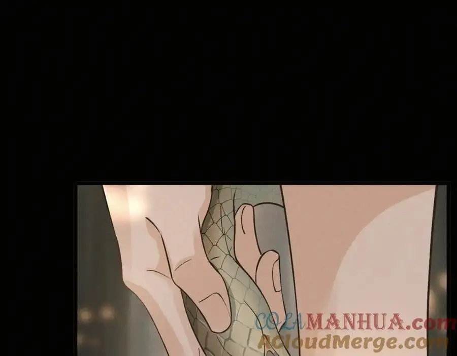 第13话 出手12