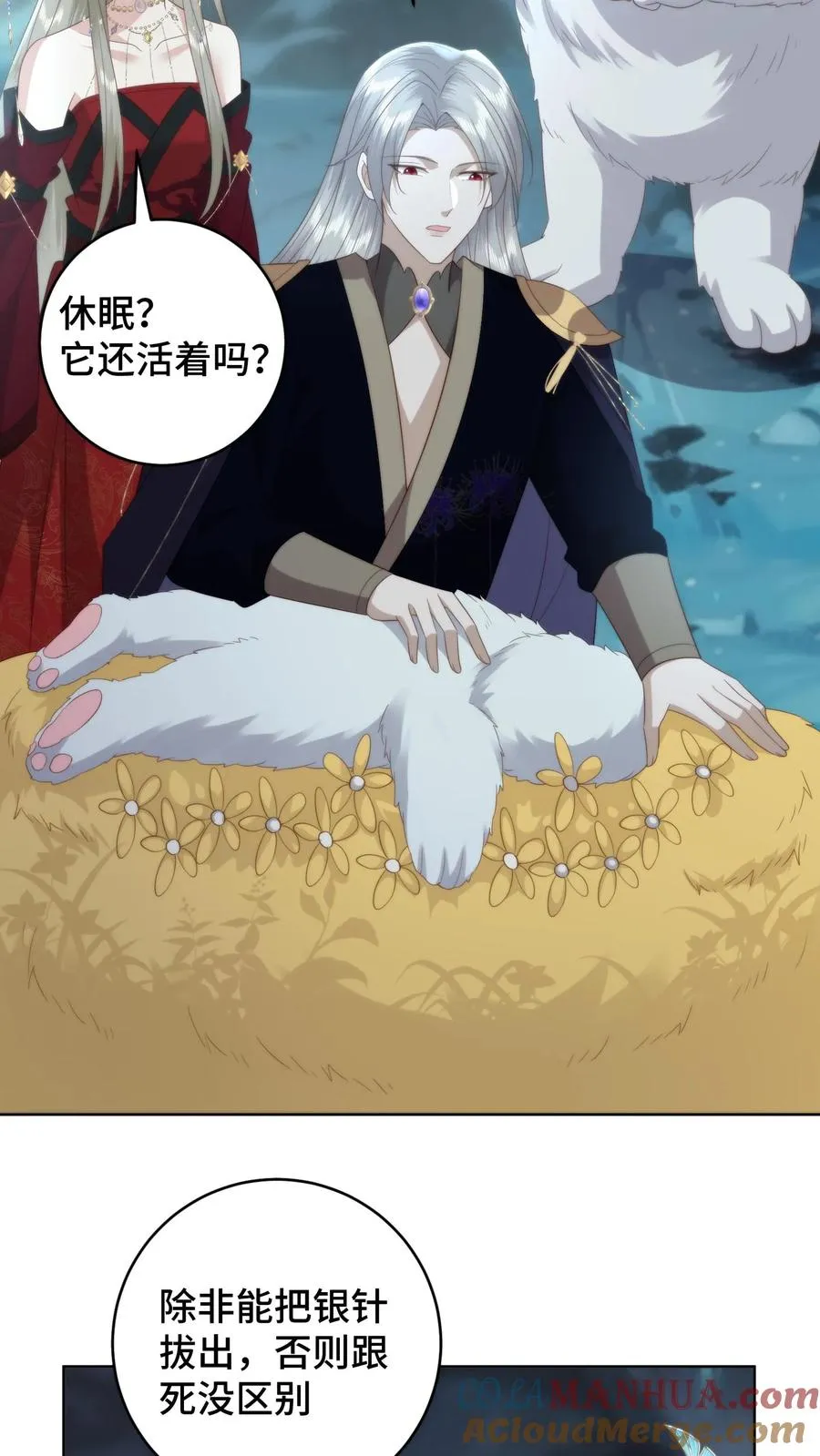 第71话 琥珀银针14