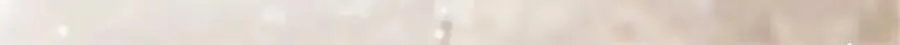 11 重生灵根的方法116