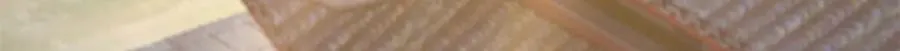 18 白小鱼就是我命定的妻子？60