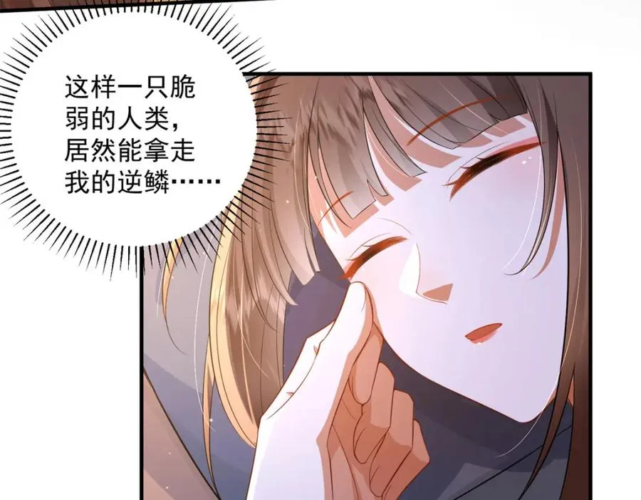 20 火烤龙鳞6