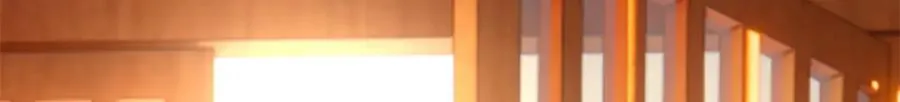 06 上啊，咬他啊！34