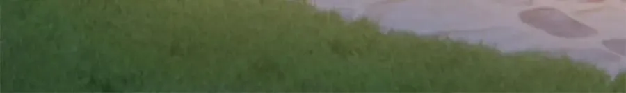 18 白小鱼就是我命定的妻子？51