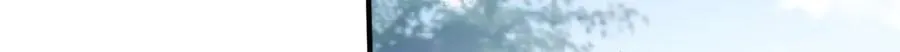 11 重生灵根的方法71