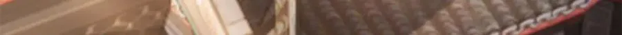 20 火烤龙鳞73