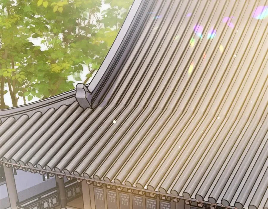 03 我，浴火重生了166