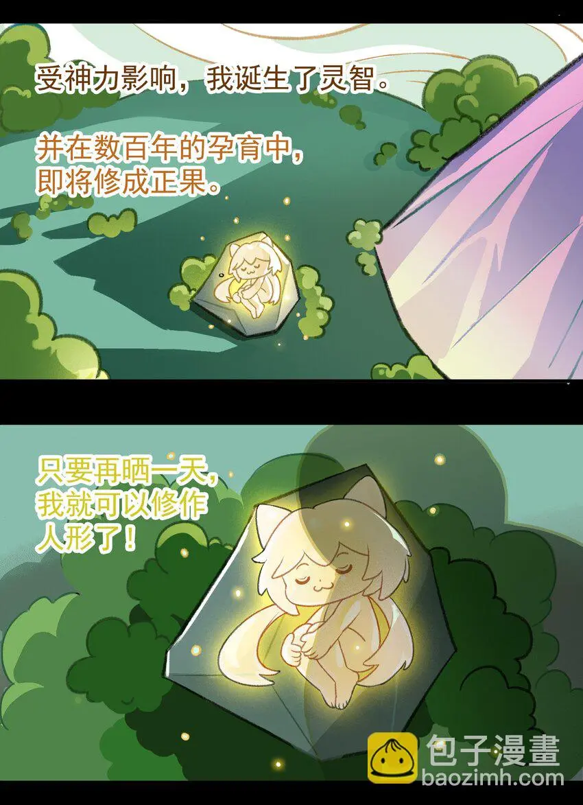 第二话 小哇……身世？2