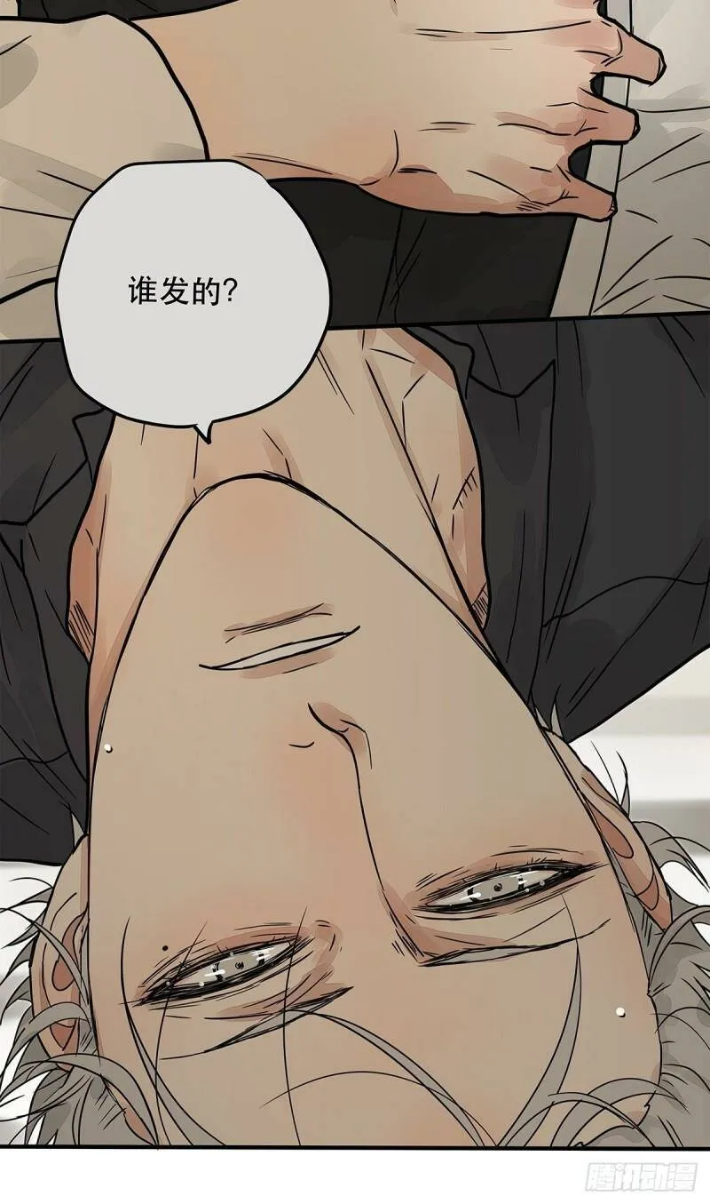 035 那些你不问的秘密15