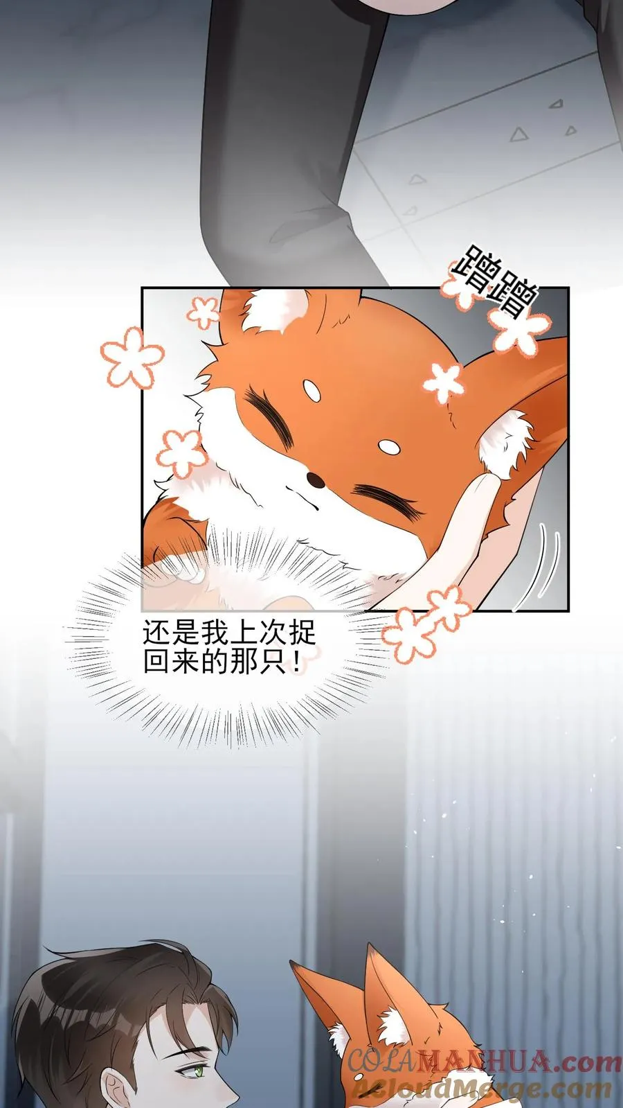 第88话 上次的小狐狸16