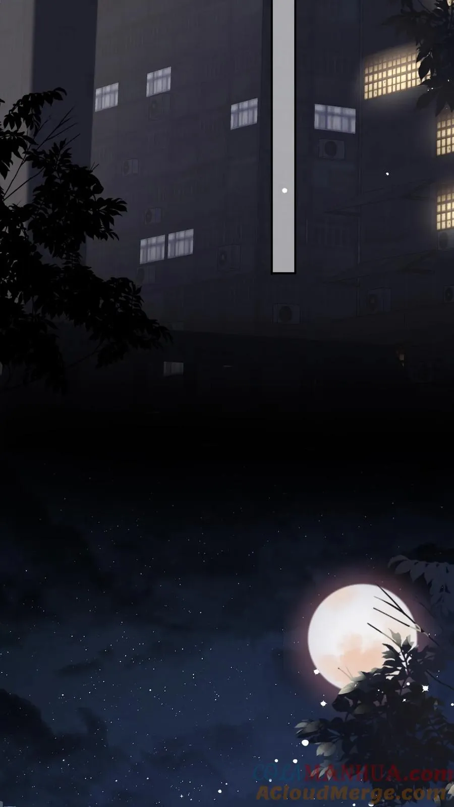 第16话 铁树开花10