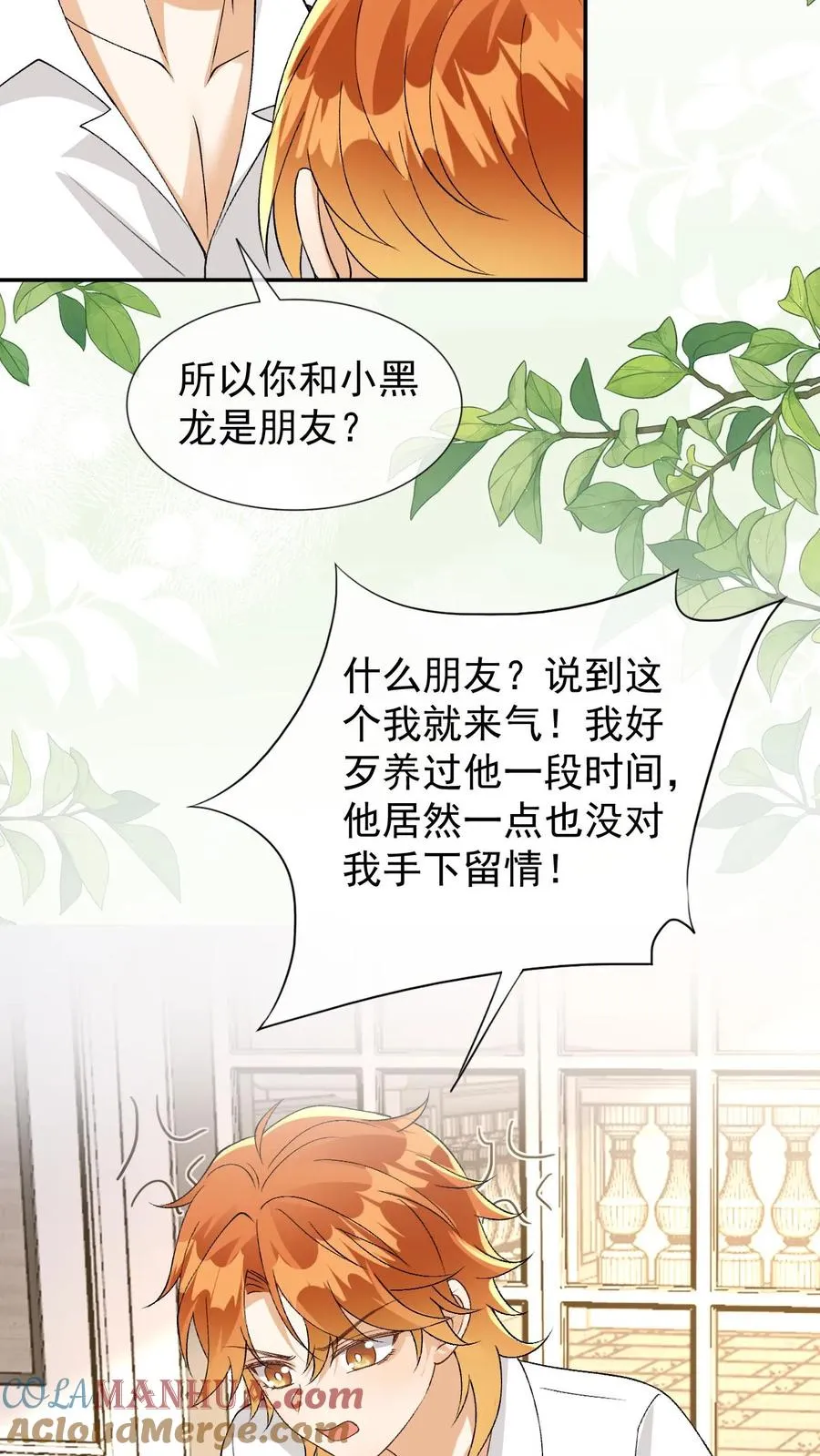 第96话 和小黑龙的过去6