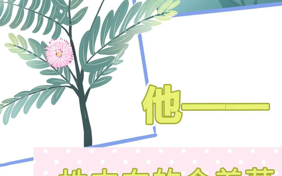 新作预告80