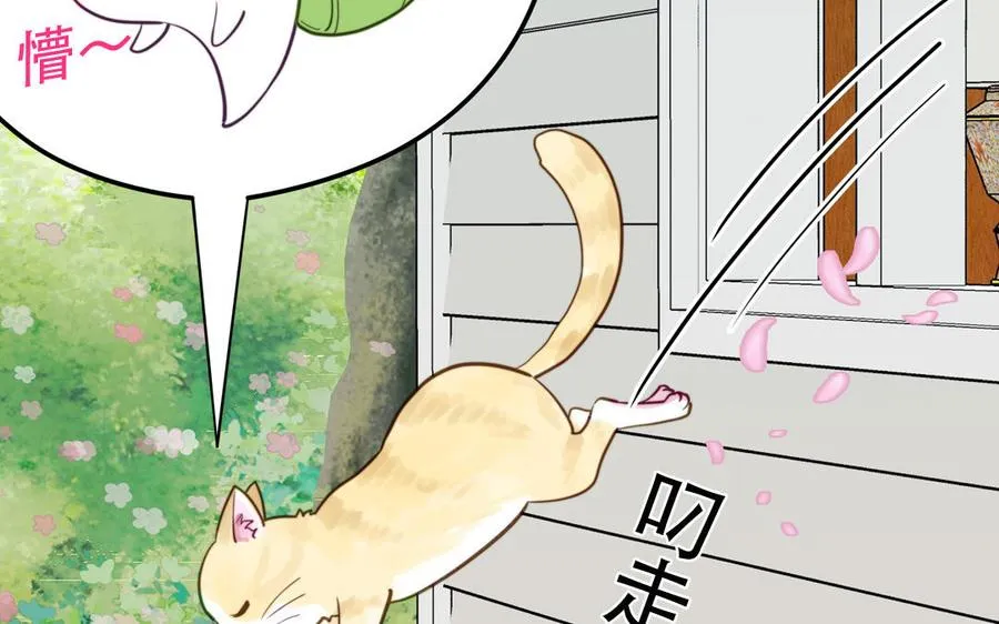 第120话 林涡被猫叼走了19