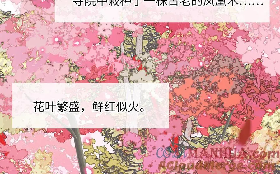 第87话 他的“新娘”9