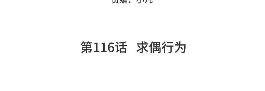 第116话 求偶行为4