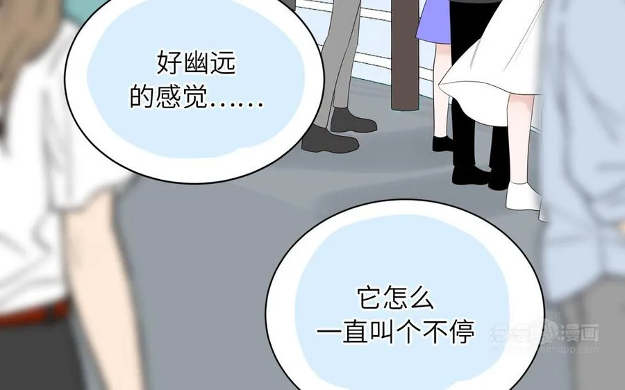 第69话 正常追求行为83