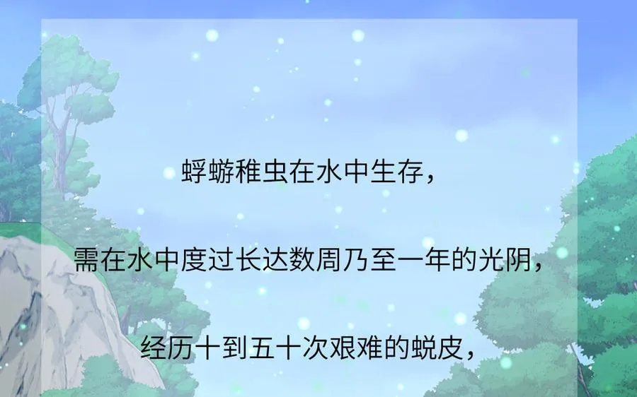 第78话 南海蝴蝶43