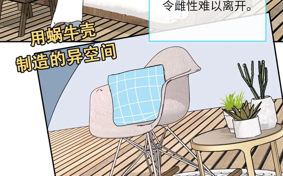 第116话 求偶行为68