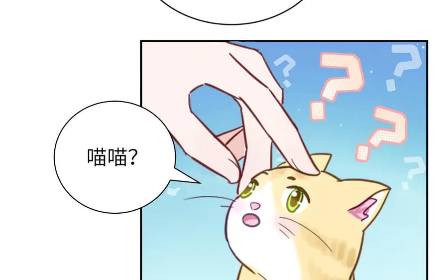 第123话 外科圣手99