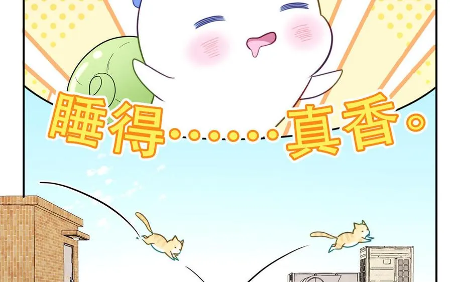 第120话 林涡被猫叼走了23