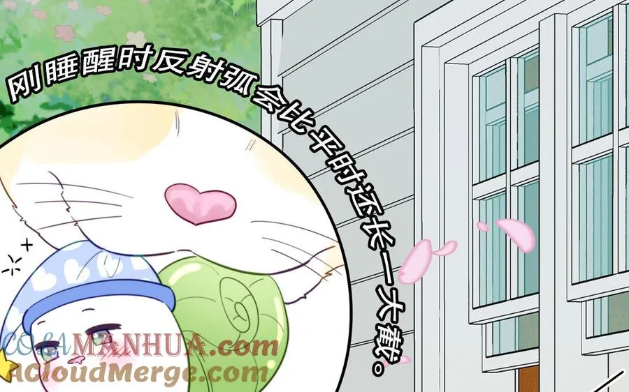 第120话 林涡被猫叼走了18