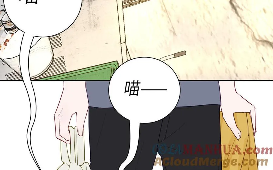 第123话 外科圣手20