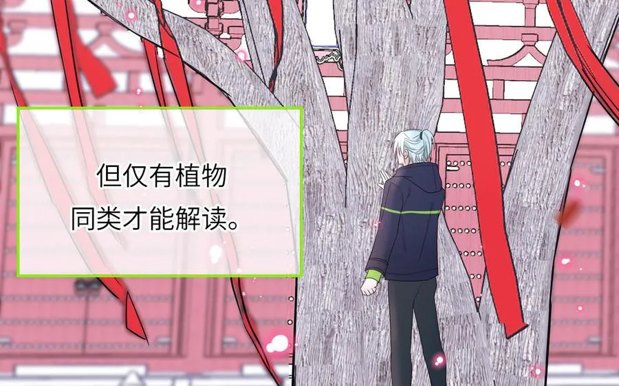 第87话 他的“新娘”47