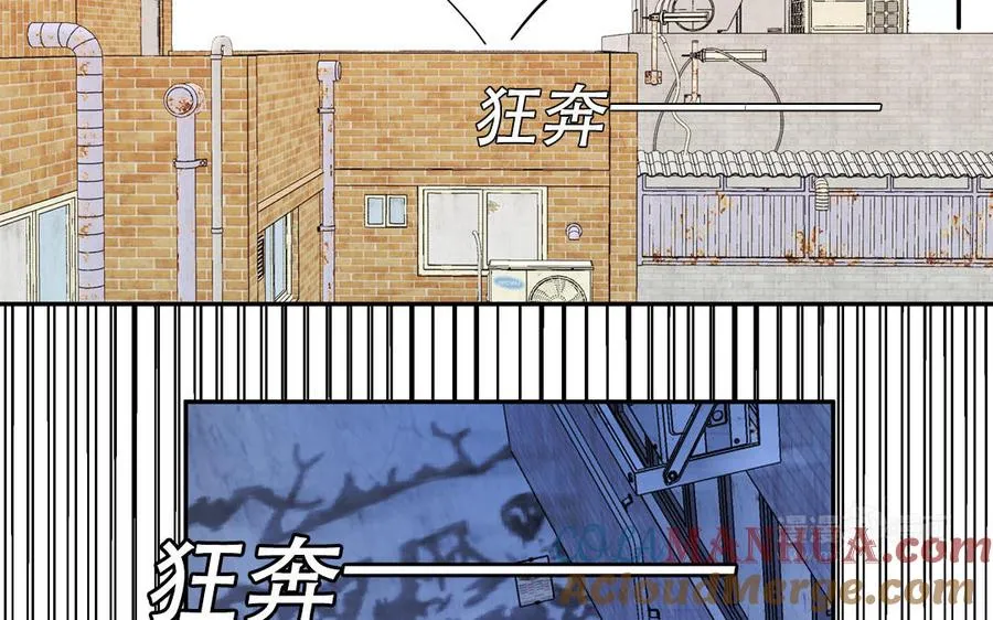 第120话 林涡被猫叼走了24