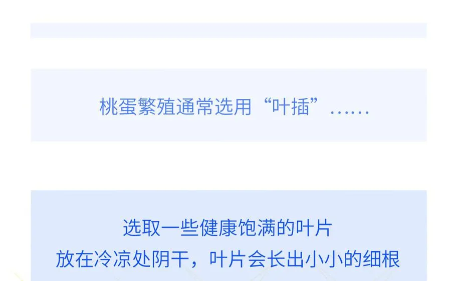 第62话 你是变态？37