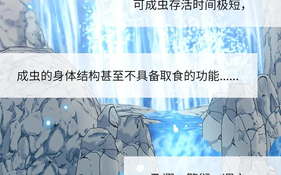 第78话 南海蝴蝶49
