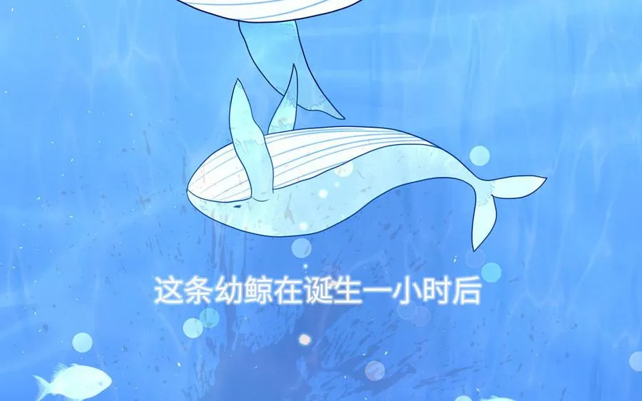 第70话 你别贴着我65