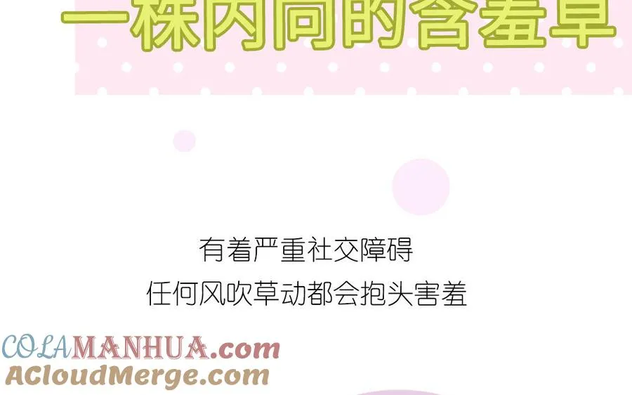 新作预告81