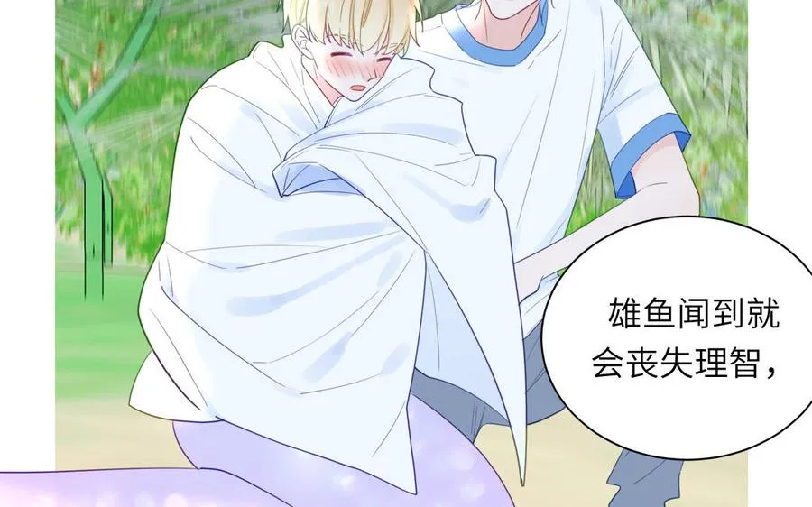 第113话 他的信息素40
