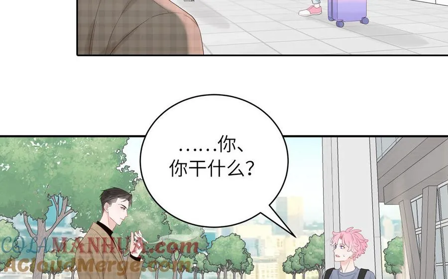 第66话 一枝玫瑰6