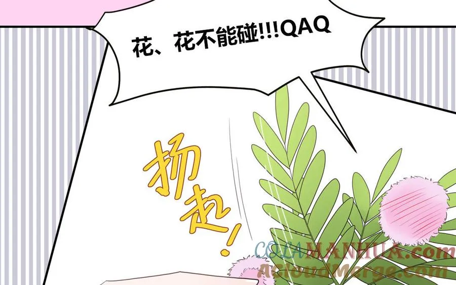 第30话 花不能碰33