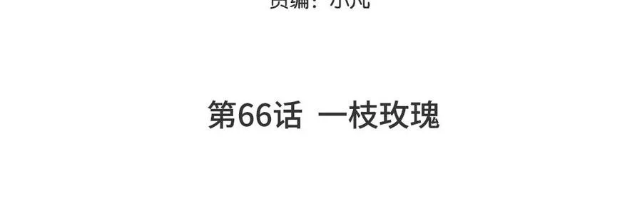 第66话 一枝玫瑰4