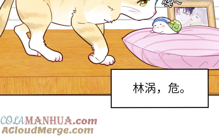 第120话 林涡被猫叼走了15