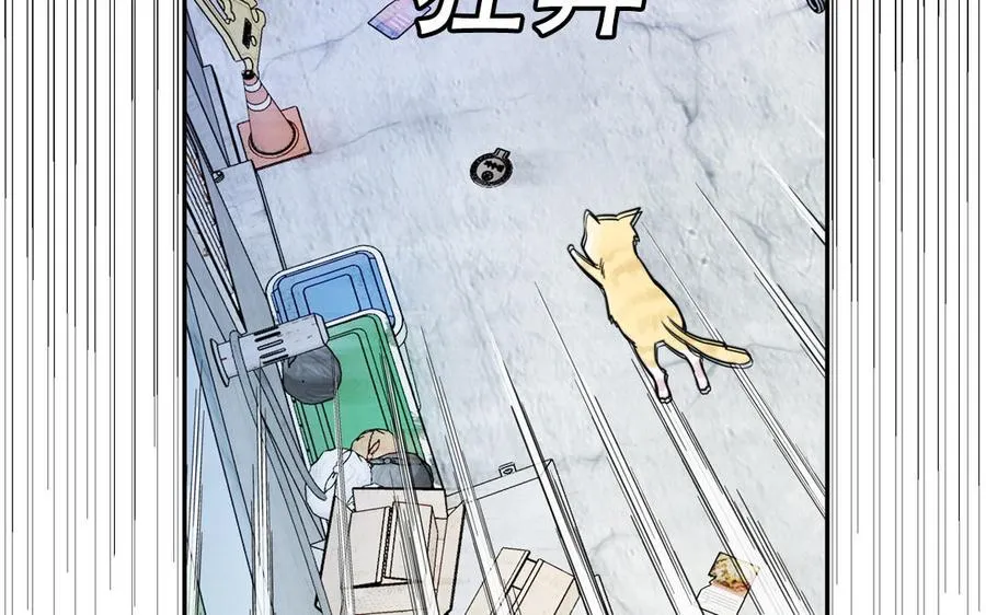 第120话 林涡被猫叼走了26