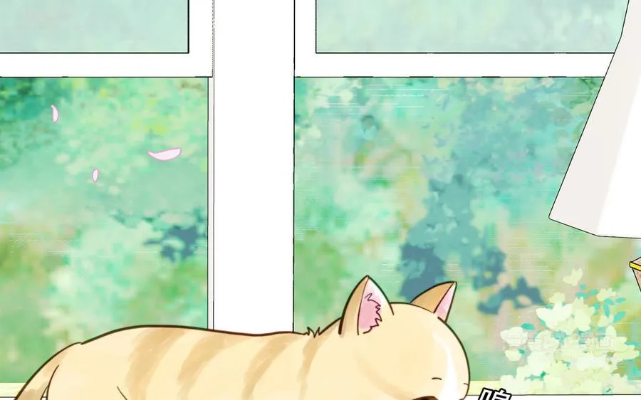 第120话 林涡被猫叼走了14
