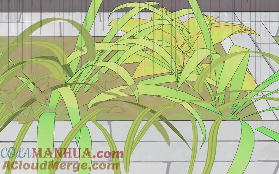第56话 我想追求你78