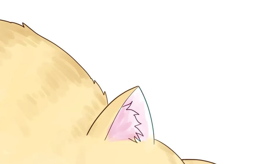 第120话 林涡被猫叼走了46