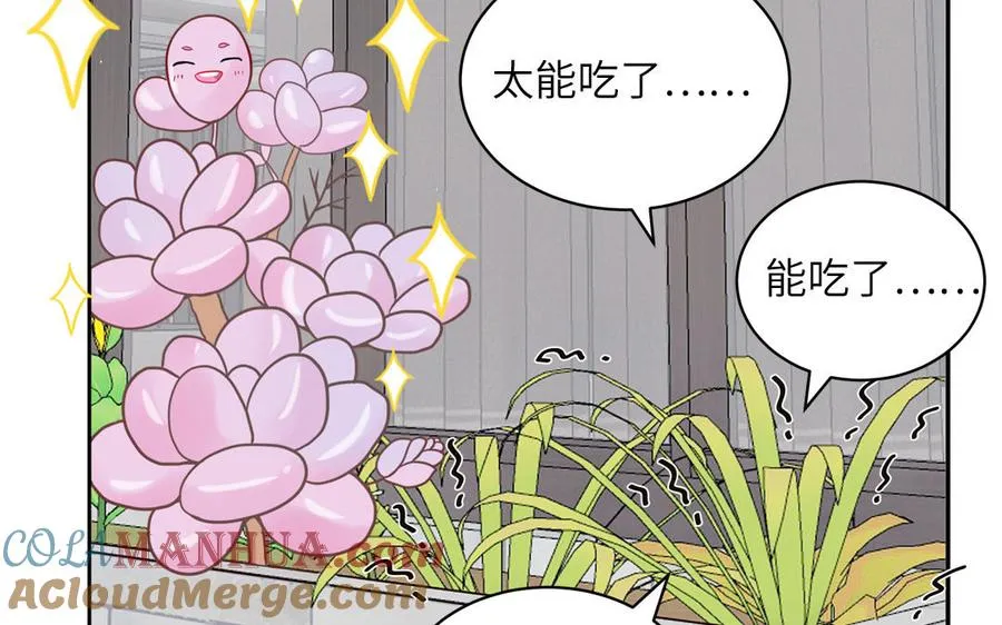 第56话 我想追求你81
