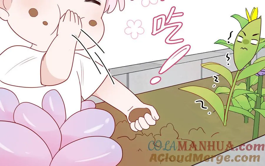 第56话 我想追求你75