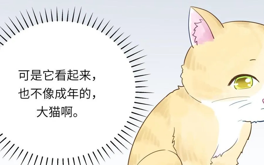 第120话 林涡被猫叼走了53