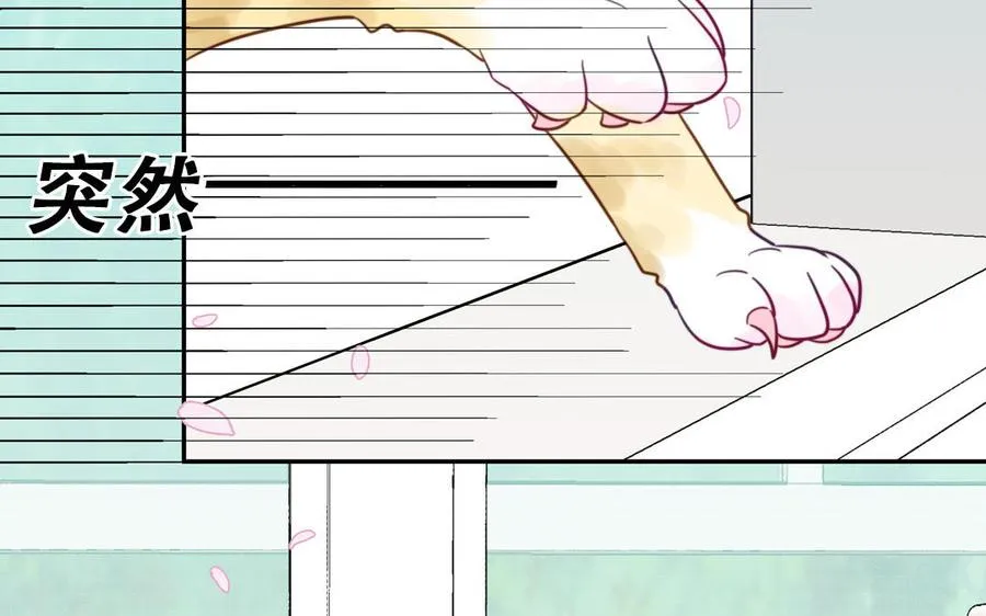 第120话 林涡被猫叼走了13