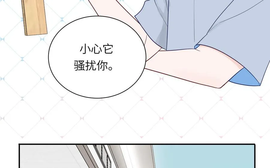 第110话 海中泰迪66