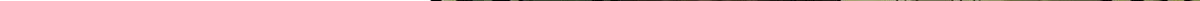 36 斑斓魔虎56