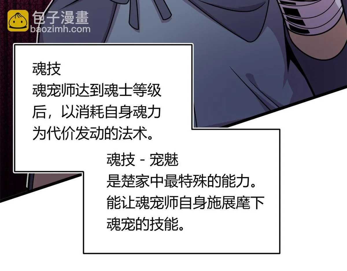 10 魂技—宠魅66