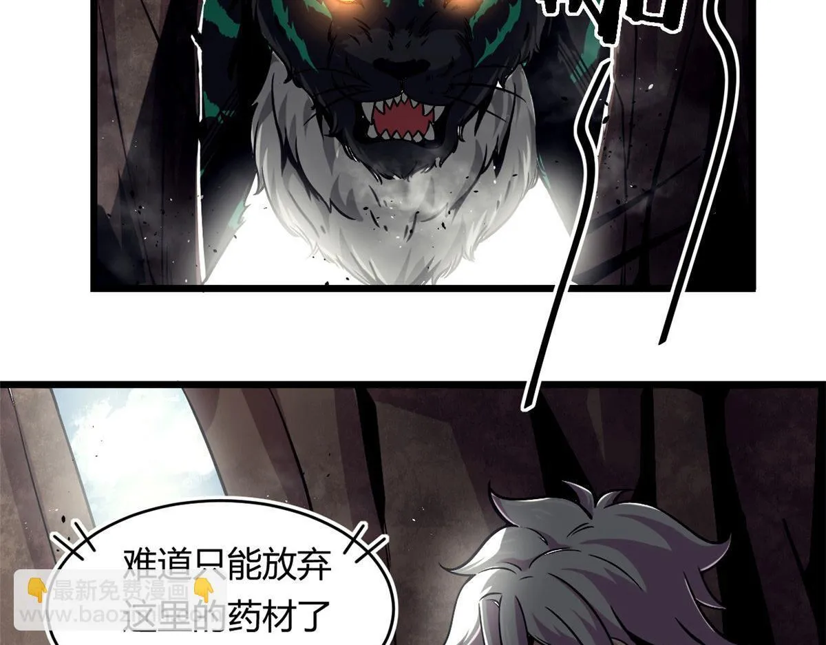 36 斑斓魔虎16