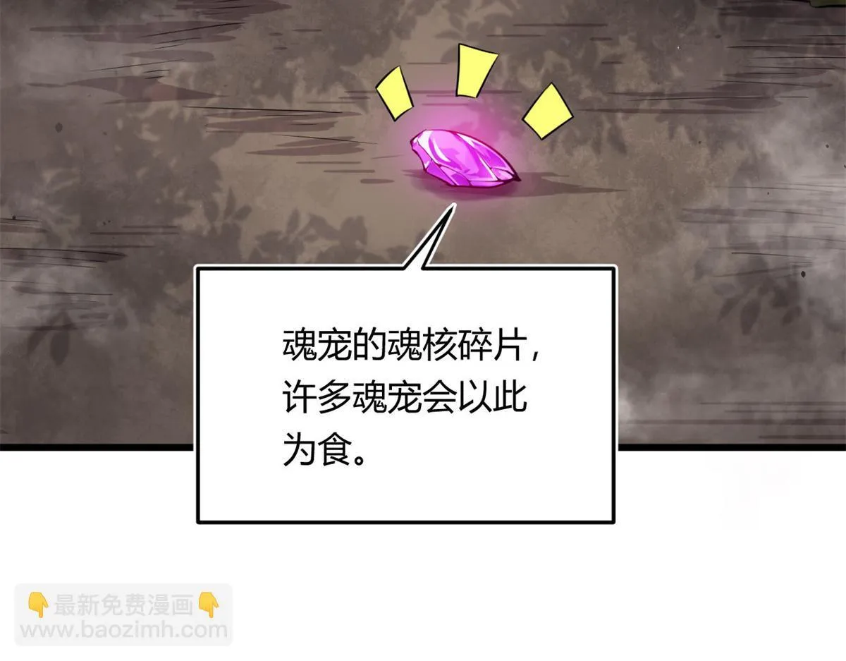 04 设陷阱，捕魂宠41